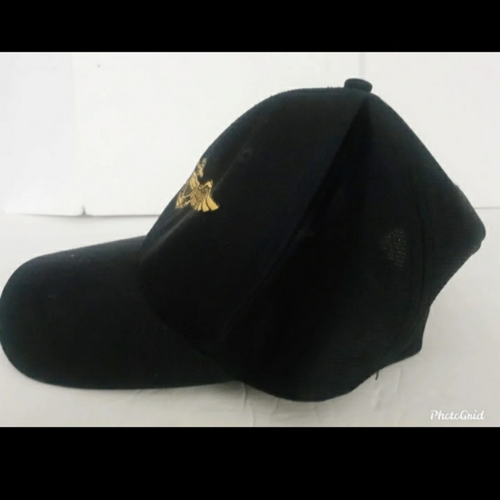 Vtg Eagle crest Aviator Hat dark blue Gold Mens  snapback cap - Picture 5 of 5